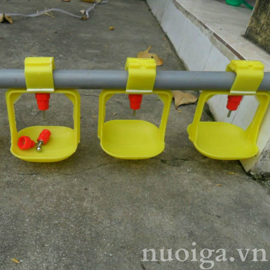 núm uống cho gà
