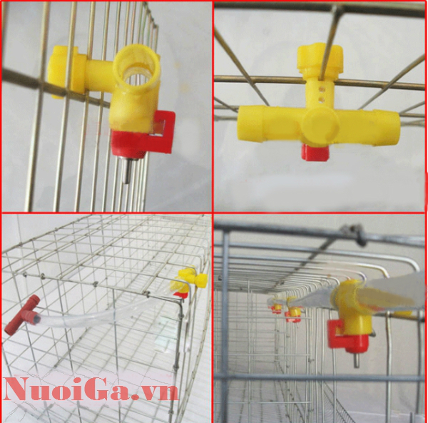 máng nước tự động