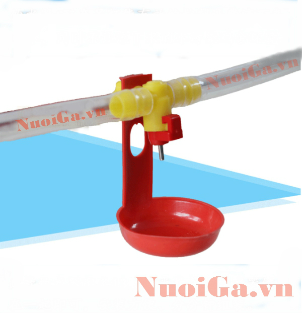 máng nước tự động