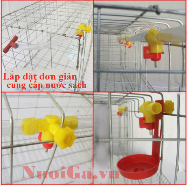 máng nước tự động