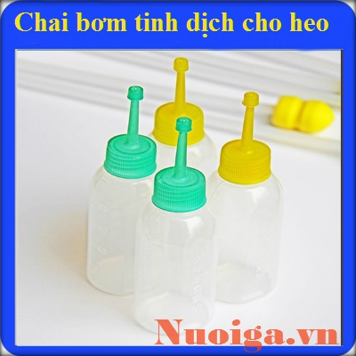 que thụ tinh cho heo