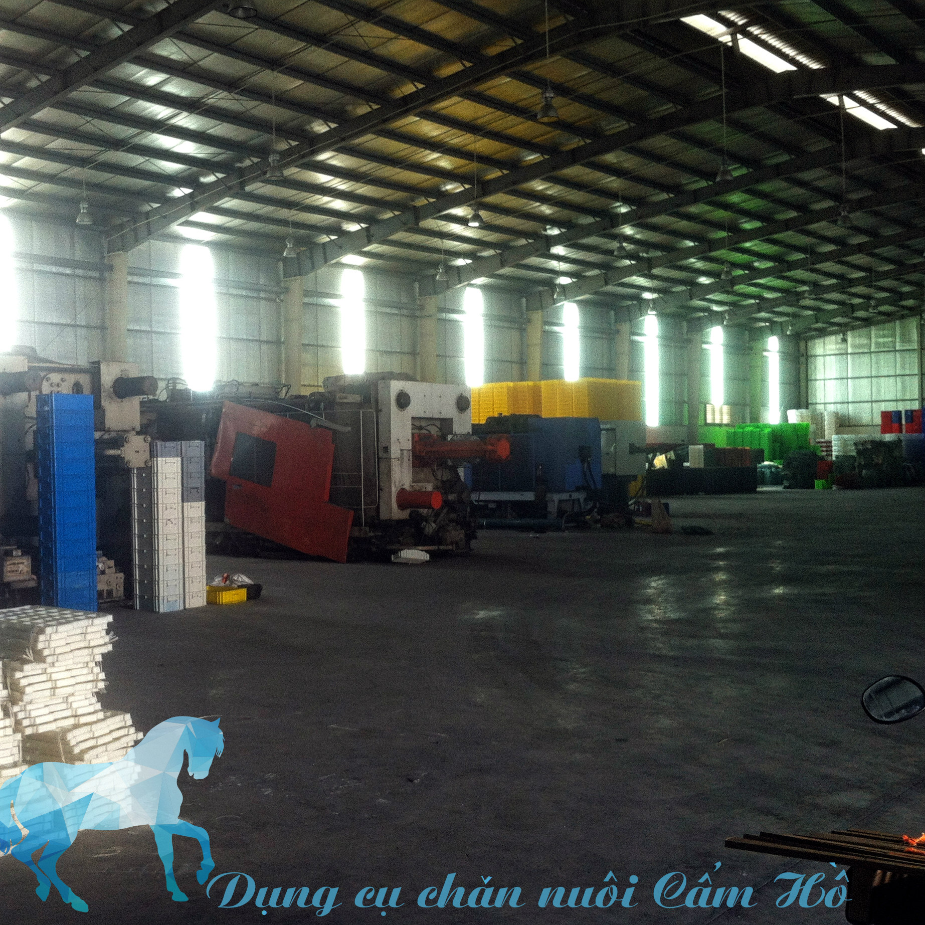 gà đeo kính loại kẹp