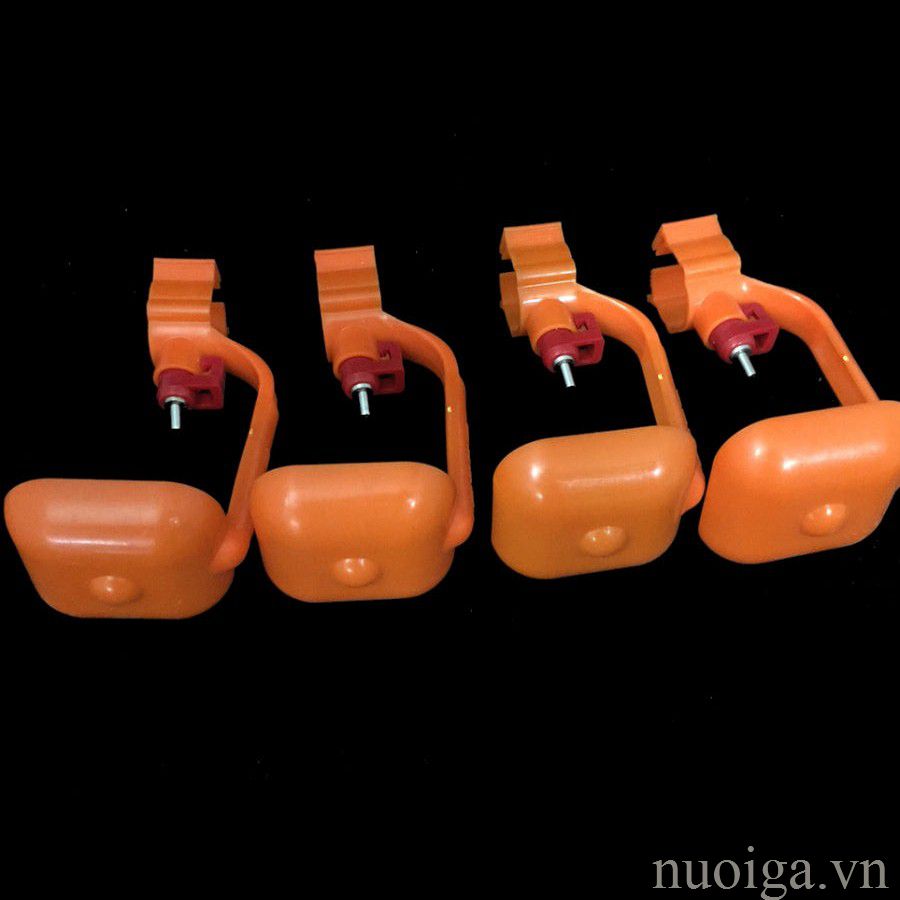 máng nước cho gà