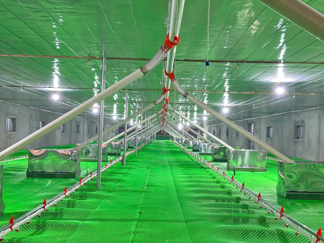 Lưới mắt cáo xanh - Phù Hợp Mọi Trang Trại Chăn Nuôi