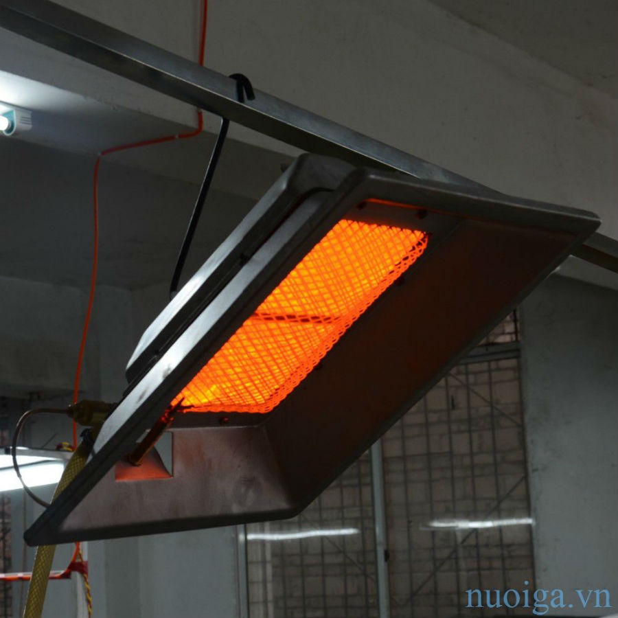 Đèn sưởi gà con Alke - Giải pháp tiết kiệm chi phí cho trang trại