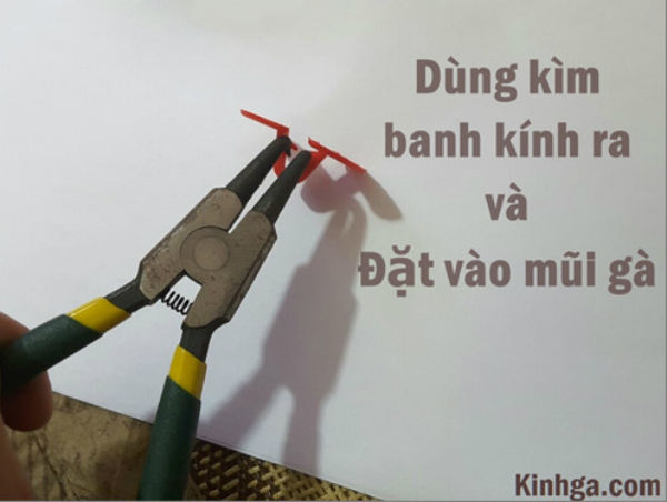 kim banh kinh ga