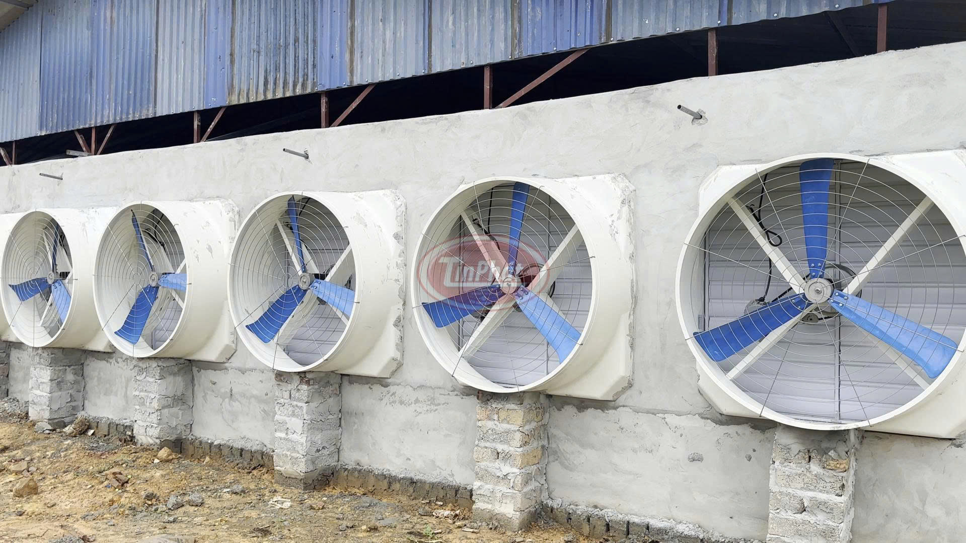 Quạt Hút Composite Giải Pháp Cho Chăn Nuôi Hiện Nay