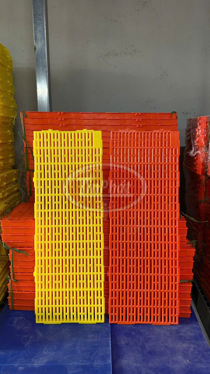 TẤM NHỰA LÓT SÀN CHUỒNG HEO - GIẢI PHÁP VÀNG CHO TRANG TRẠI