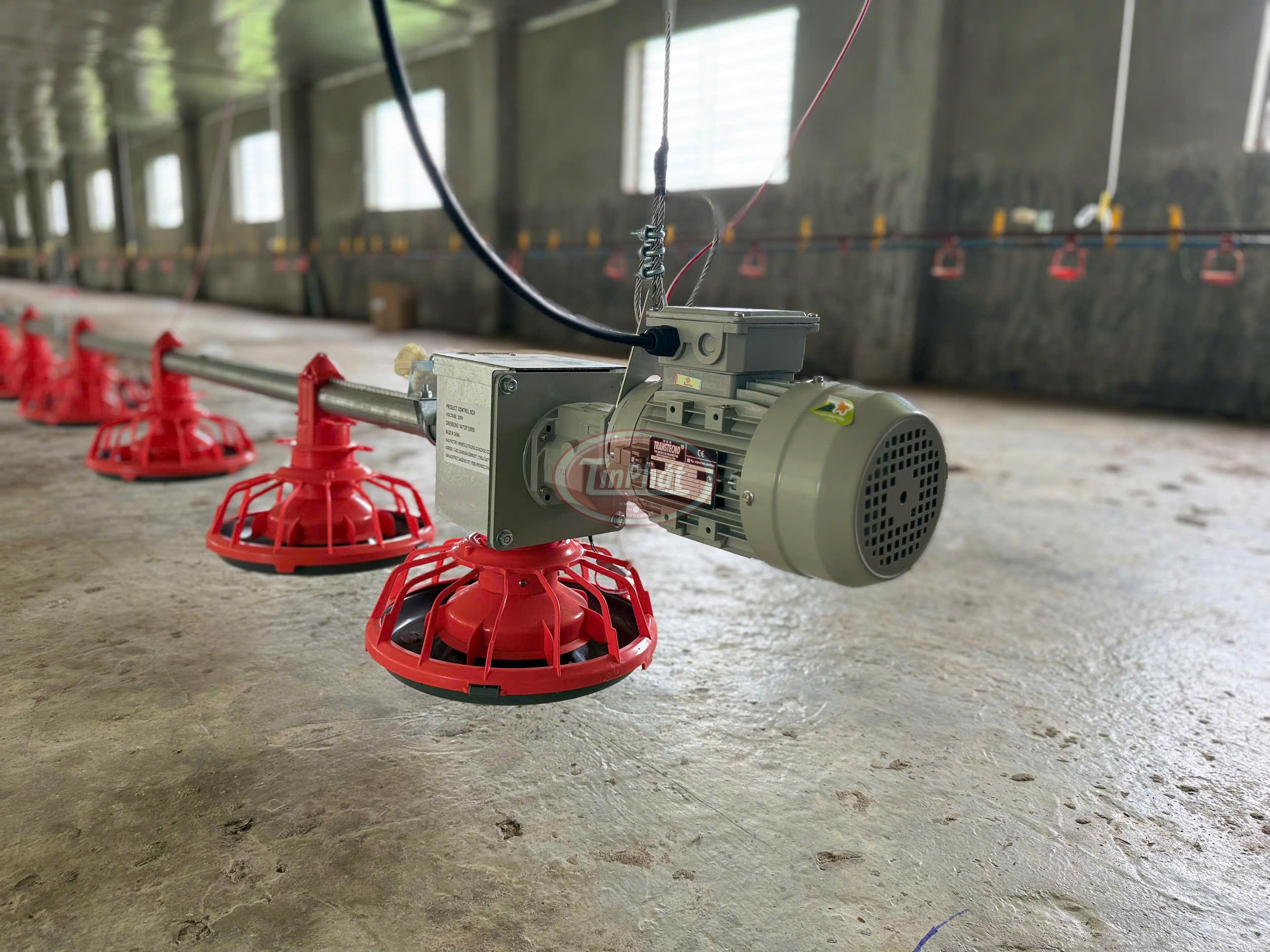 Hệ Thống Đường Ăn Tự Động Cho Gà – Giải Pháp Tối Ưu Hóa Chăn Nuôi Hiện Đại