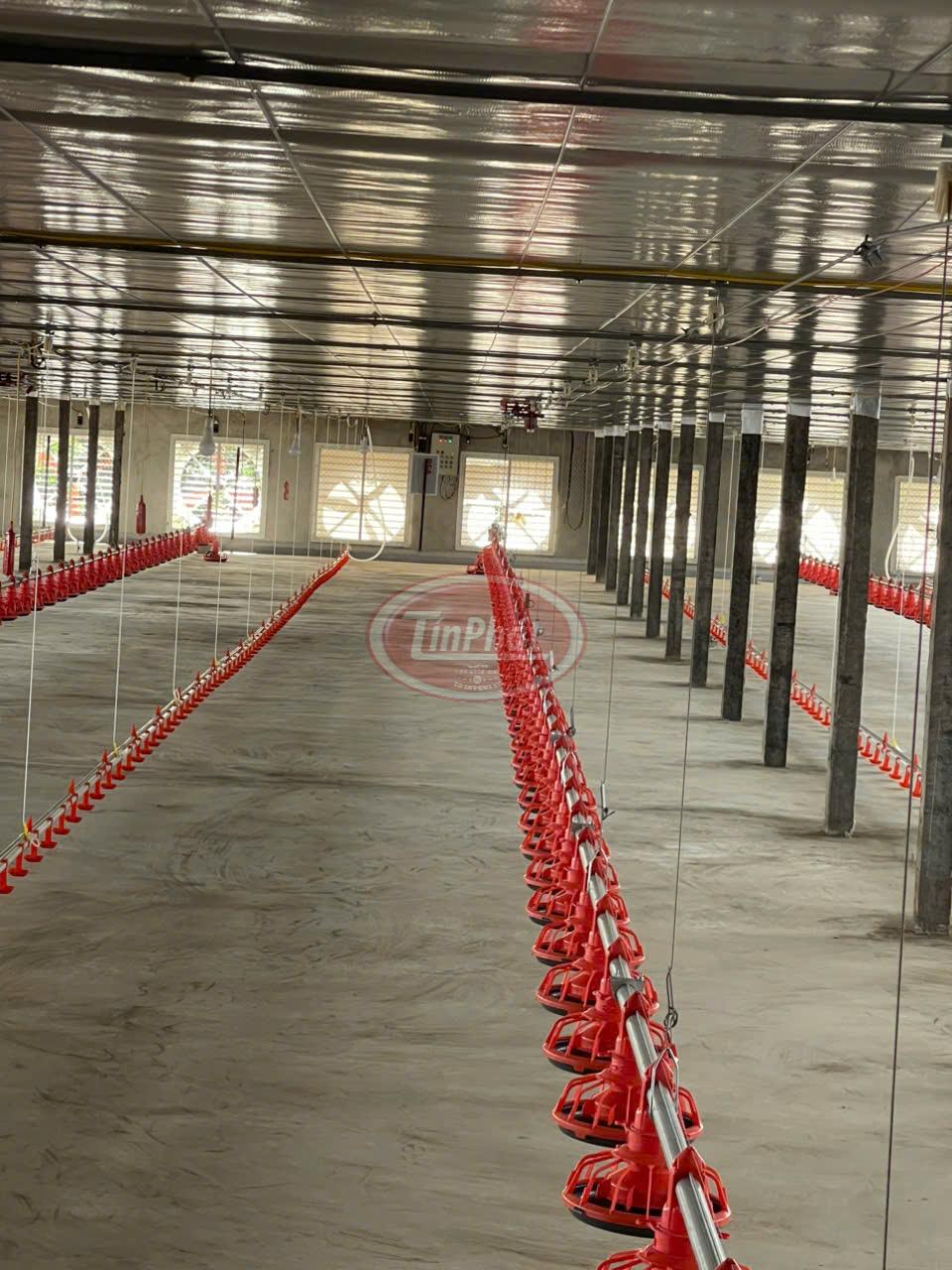 Hệ Thống Đường Ăn Tự Động Cho Gà – Giải Pháp Tối Ưu Hóa Chăn Nuôi Hiện Đại