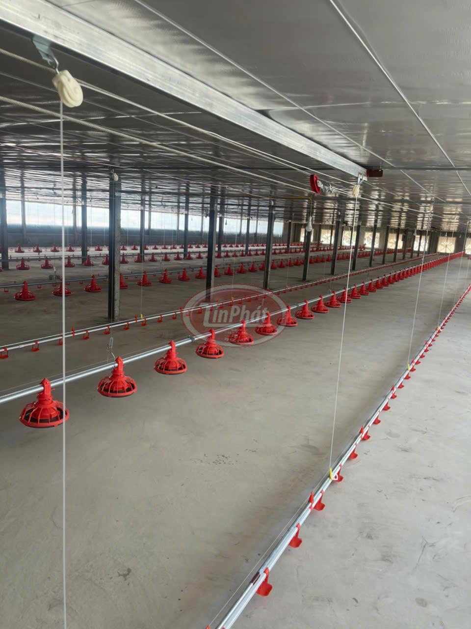 Hệ Thống Đường Ăn Tự Động Cho Gà – Giải Pháp Tối Ưu Hóa Chăn Nuôi Hiện Đại