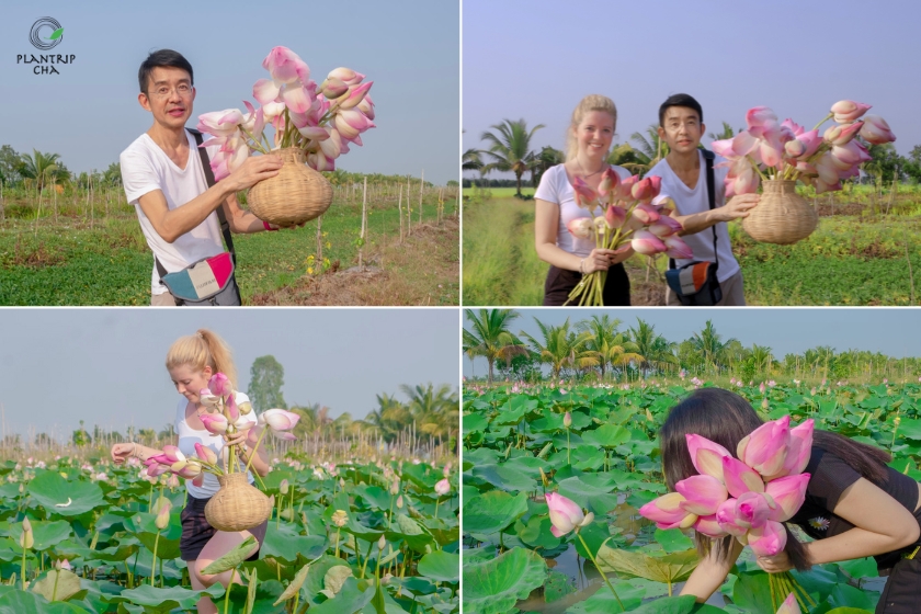 Plantrip và trà khách tham gia các hoạt động thực tế tại vùng quê thanh bình.