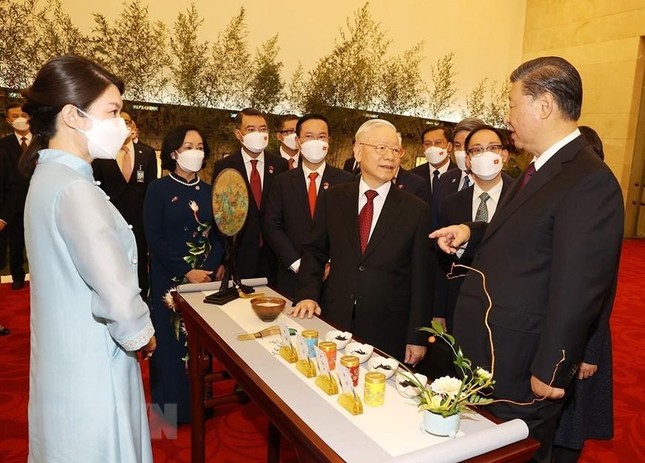 Trà Đại Hồng Bào có mức giá vô cùng đắt đỏ, tương xứng với độ quý hiếm và hương vị tuyệt hảo (Ảnh: TTXVN)