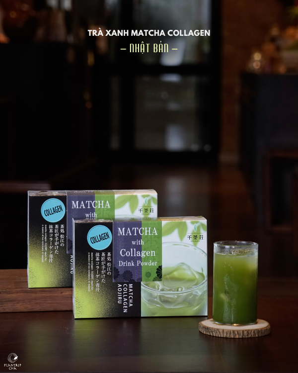 Trà Xanh Matcha Collagen Nhật Bản - Plantrip Cha phân phối độc quyền tại Việt Nam.