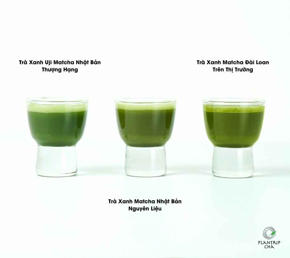 Màu sắc khác biệt giữ matcha thượng hạng, matcha nguyên liệu từ Nhật Bản và Đài Loan.