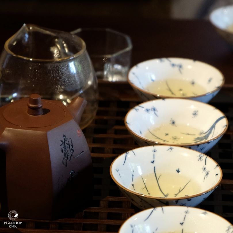 Chương trình thưởng trà tại Hồ Chí Minh dành cho tất cả mọi người.