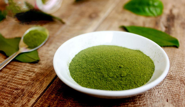 Tinh bột trà xanh có lợi ích gì? Tinh bột trà xanh có lợi ích gì?