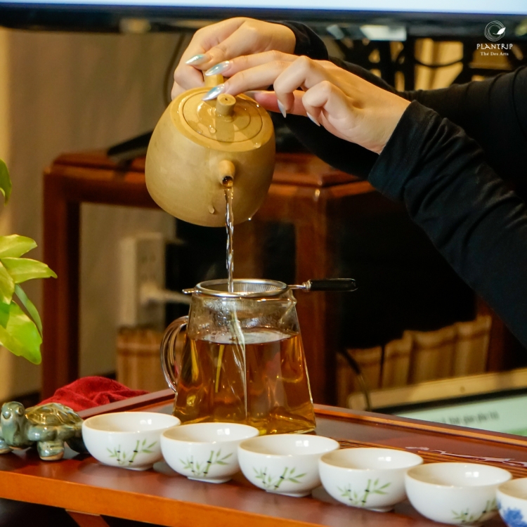 Các bạn chưa có kinh nghiệm hoặc mới tìm hiểu về trà vẫn có thể tham gia buổi workshop.