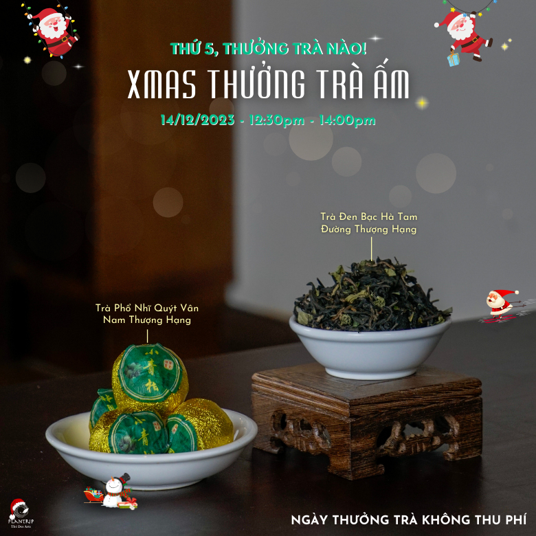 Thưởng Trà Đen Cổ Truyền Phú Hội Thượng Hạng và Măng Trà Rồng Vàng Tây Côn Lĩnh Thượng Hạng.