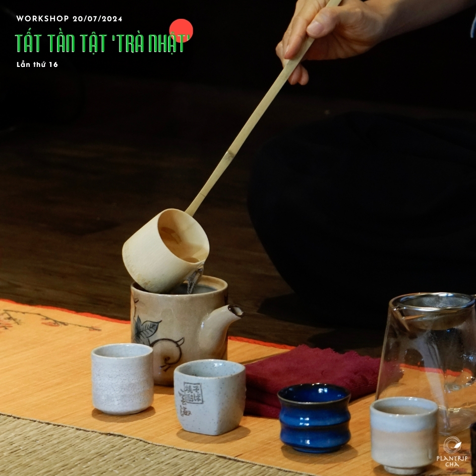 Hoạt động pha trà, thưởng trà trong buổi workshop do Plantrip Cha tổ chức.