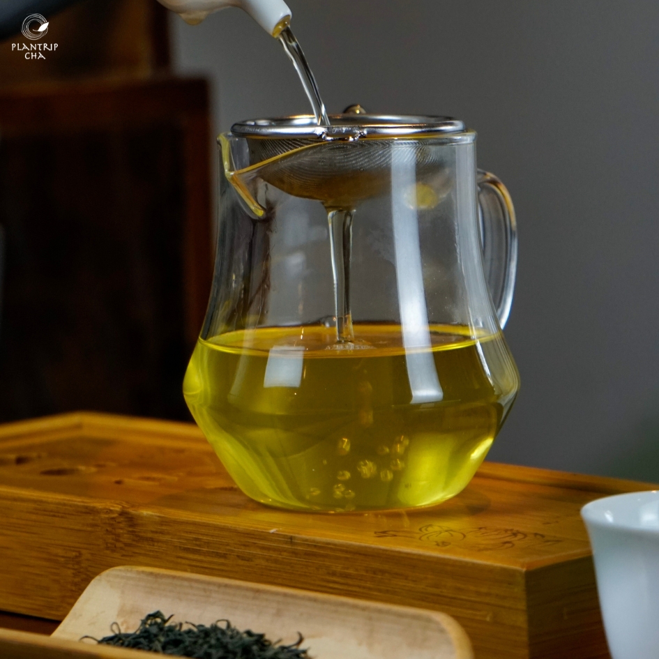 Hình ảnh pha trà đinh Tân Cương - Thái Nguyên của plantrip cha.