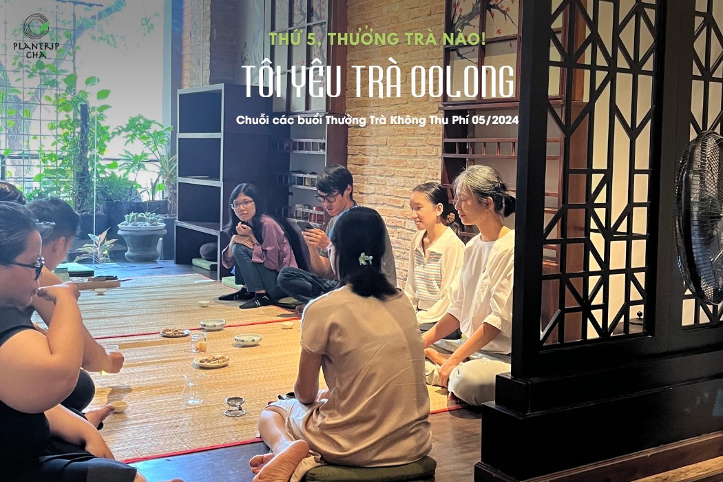 Không khí thưởng trà ấm cúng, thanh tao và vui vẻ cùng những câu chuyện trà thú vị.