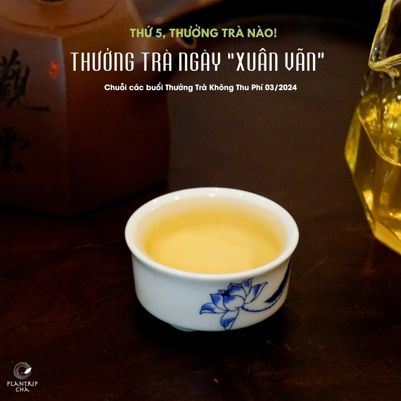 Chương trình thưởng trà tại Hồ Chí Minh dành cho tất cả mọi người