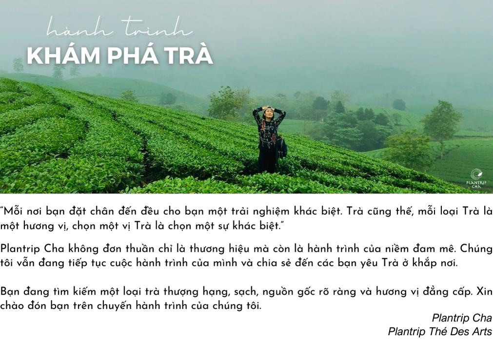 Plantrip Cha - Hành trình khám phá trà