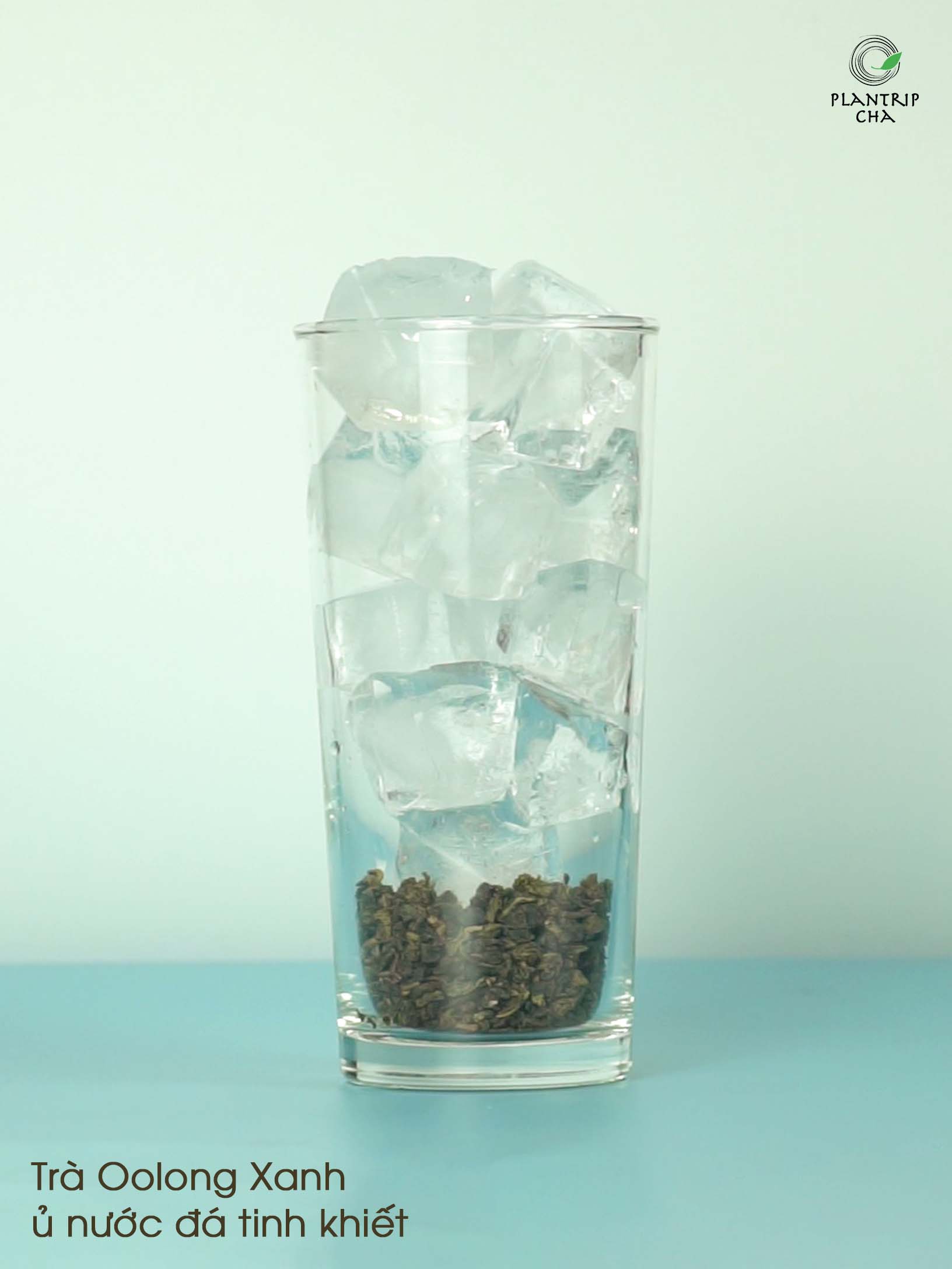 Trà Oolong Xanh ủ nước đá tinh khiết.