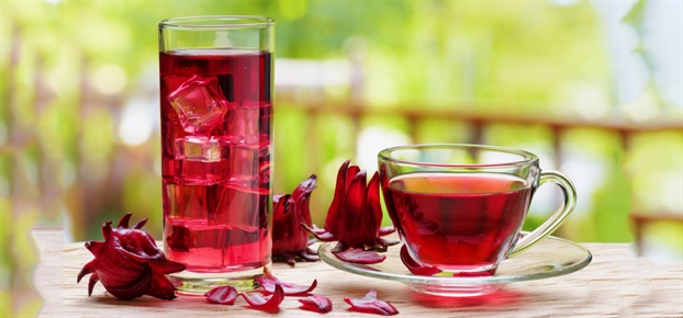Trà hoa Hibiscus là loại trà thảo mộc được làm từ búp Hibiscus (Ảnh: sưu tầm)