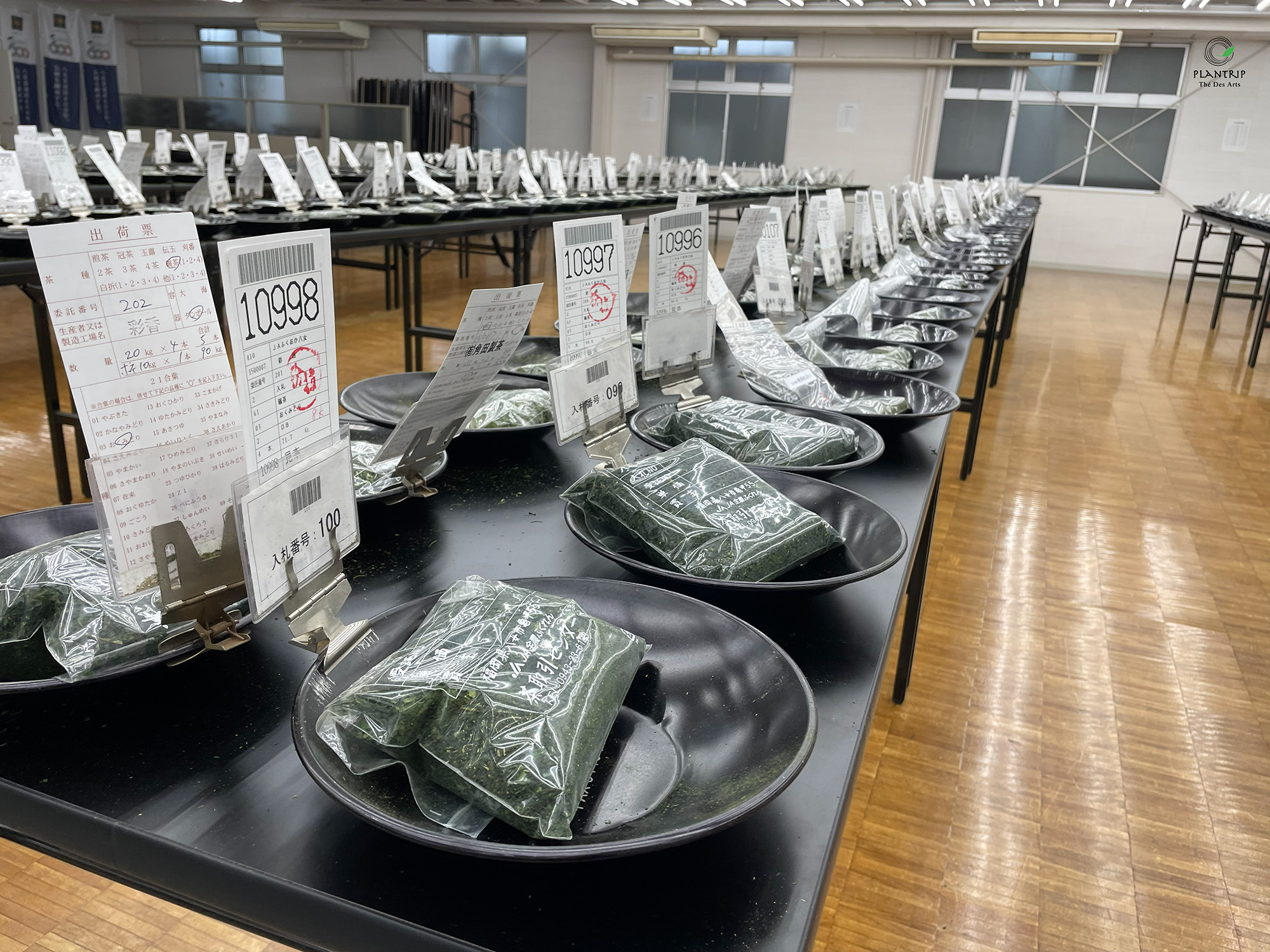 Buổi đấu giá trà Gyoukuro vụ xuân ở Yame - Fukuoka.