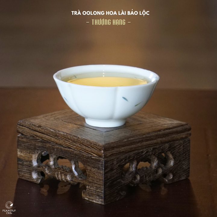 Trà Oolong Hoa Lài Bảo Lộc Thượng Hạng.