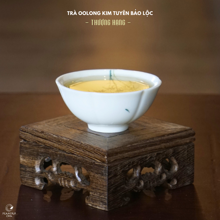 Hương vị đặc sắc có 1 không 2 của trà Oolong Kim Tuyên Thượng Hạng - Plantrip Cha.