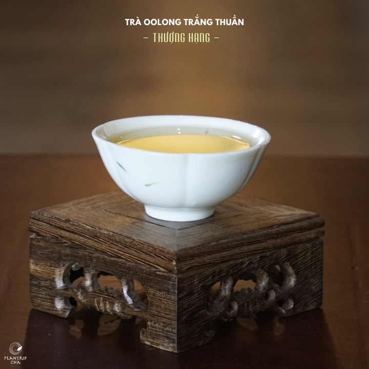 Trà Oolong Trắng Thuần Thượng Hạng là một trong những loại trà yêu cầu điều kiện tự nhiên khắt khe.