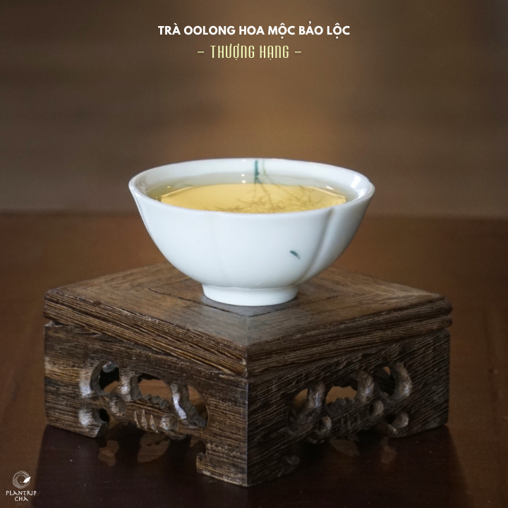 Sắc nước của phẩm Trà Oolong Hoa Mộc Bảo Lộc Thượng Hạng.