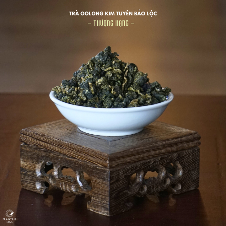 Trà Oolong Kim Tuyên Bảo Lộc Thượng Hạng là một trong những loại trà yêu cầu điều kiện tự nhiên khắt khe.