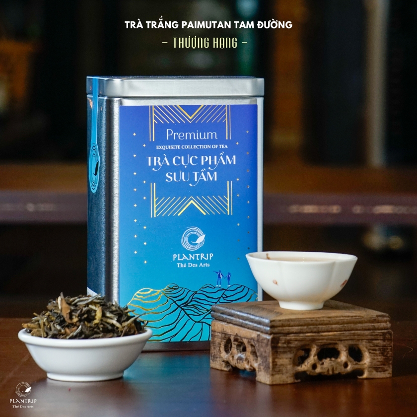 Trà Trắng Paimutan Tam Đường Thượng Hạng - Plantrip Cha là món quà  tuyệt vời trong dịp lễ tết.