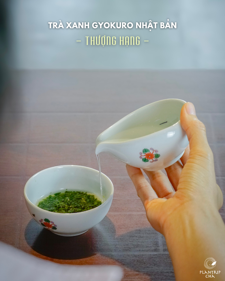 Pha trà Gyokuro truyền thống tại Plantrip Cha.