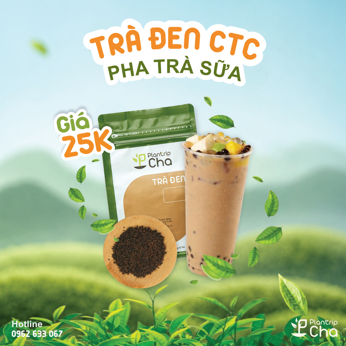 Trà đen CTC.