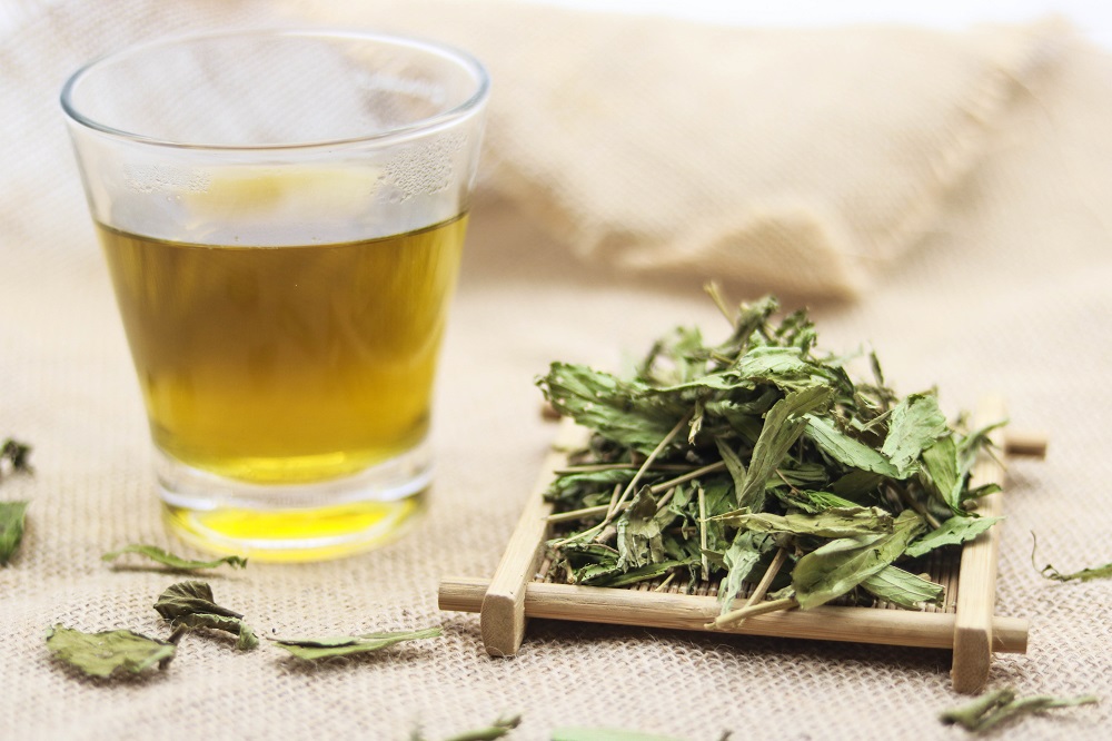 Trà Cỏ ngọt khô: Công dụng & liều lượng pha uống đúng chuẩn