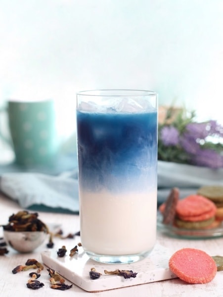 trà sữa hoa đậu biếc