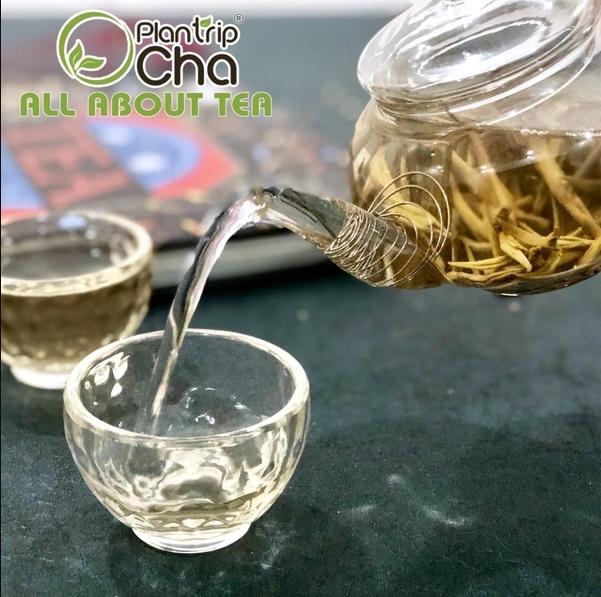 Trà lá rời có thể pha được nhiều nước mà vẫn đượm vị (Ảnh: Plantrip Cha)
