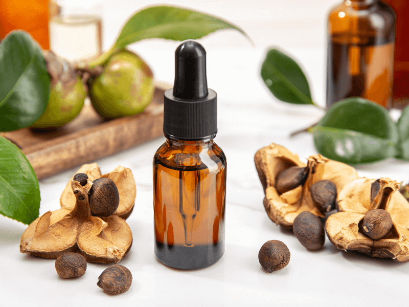 Dầu hoa trà được dùng trong làm đẹp được ép lạnh từ hạt của cây trà Camellia Japonica (Ảnh: sưu tầm)