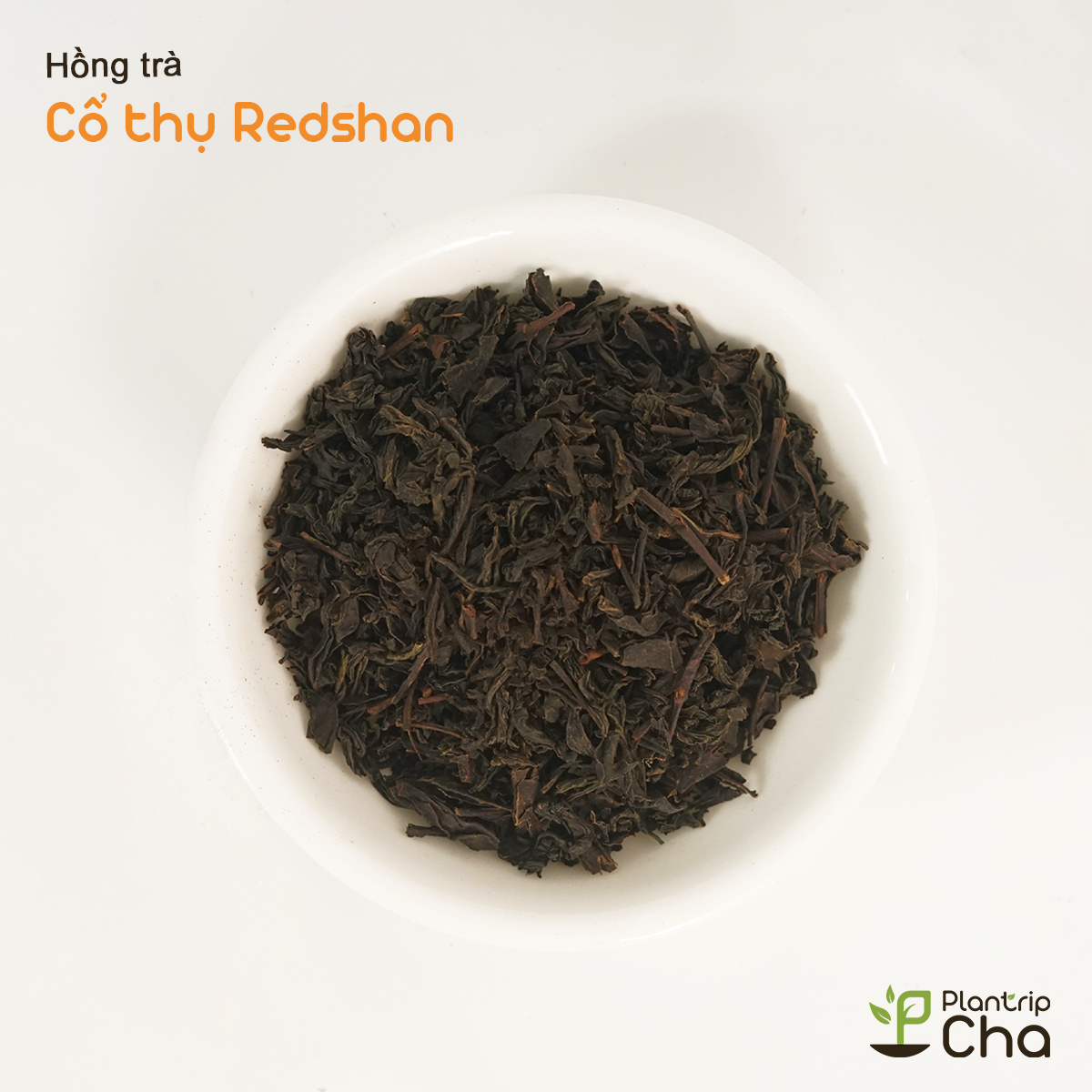Hồng trà cổ thụ Redshan.