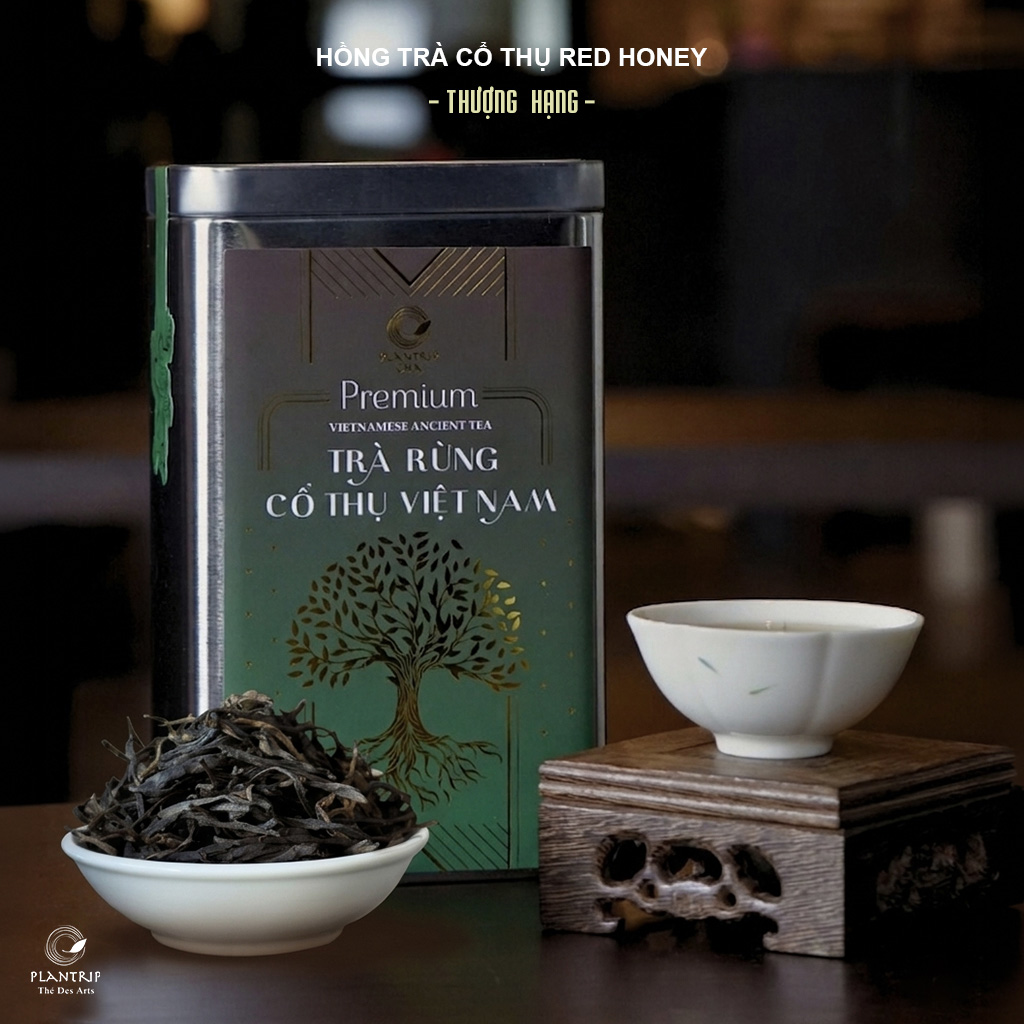 Hồng Trà Cổ Thụ Red Honey - Plantrip Thé Des Arts.