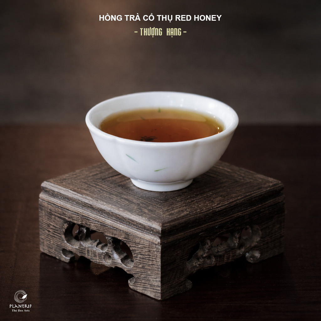 Sắc nước màu hổ phách của Hồng Trà Cổ Thụ Red Hoeny Thượng Hạng tại Plantrip Thé Des Arts.