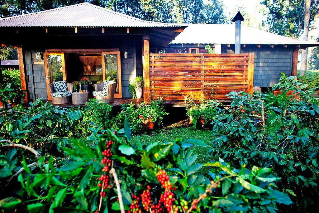 Elewana Arusha Coffee Lodge nằm ẩn mình giữa một trong những đồn điền cà phê lớn nhất Tanzania (Ảnh: sưu tầm)