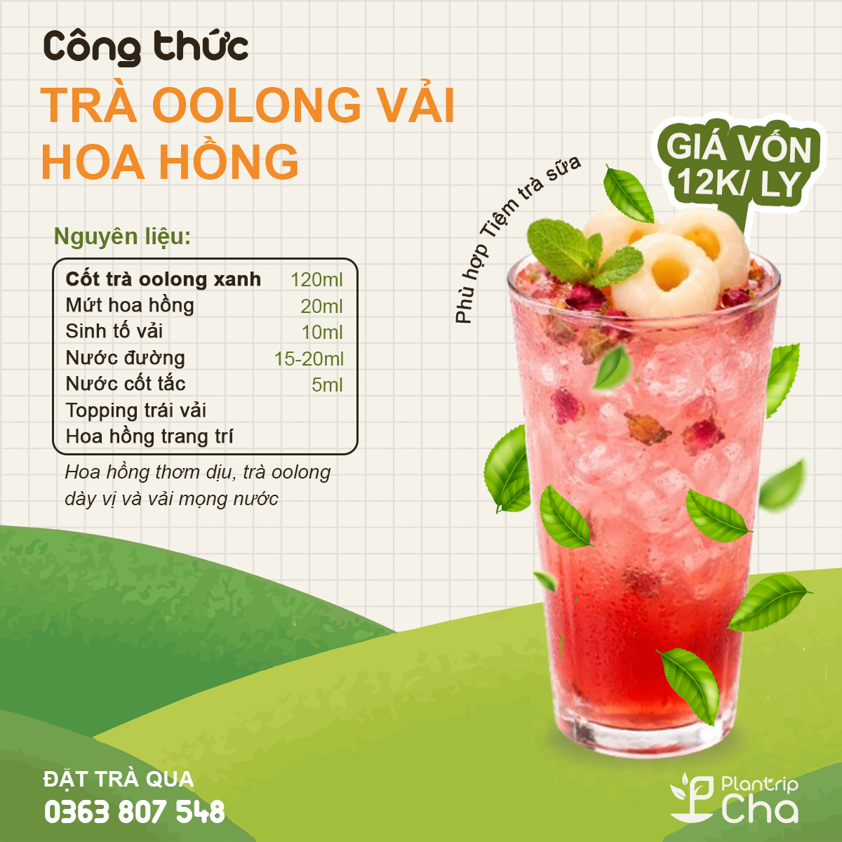 Trà oolong vải hoa hồng.