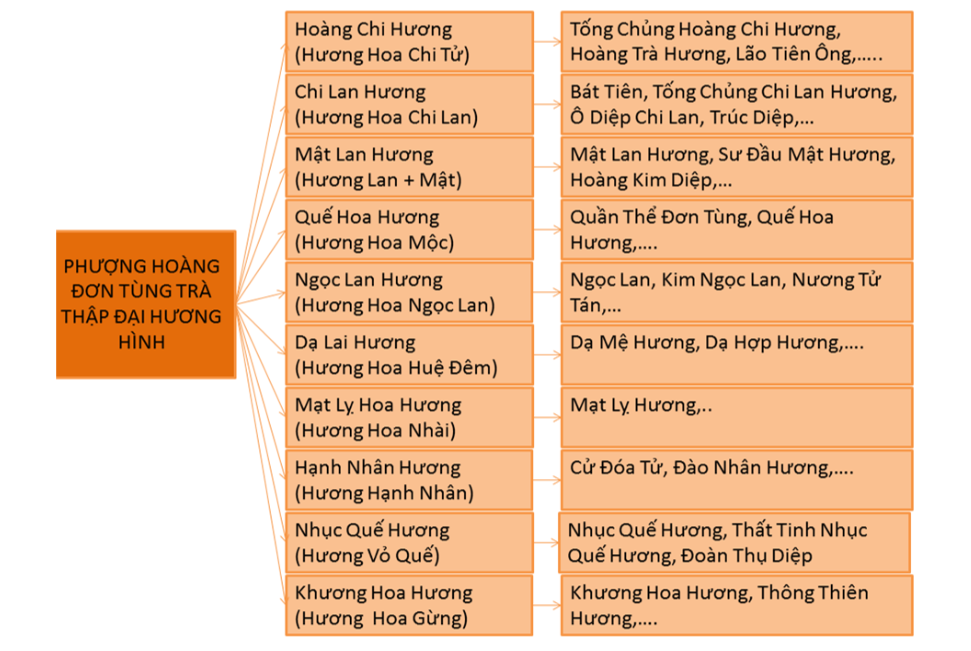 Bảng phân loại trà Phượng Hoàng Đơn Tùng