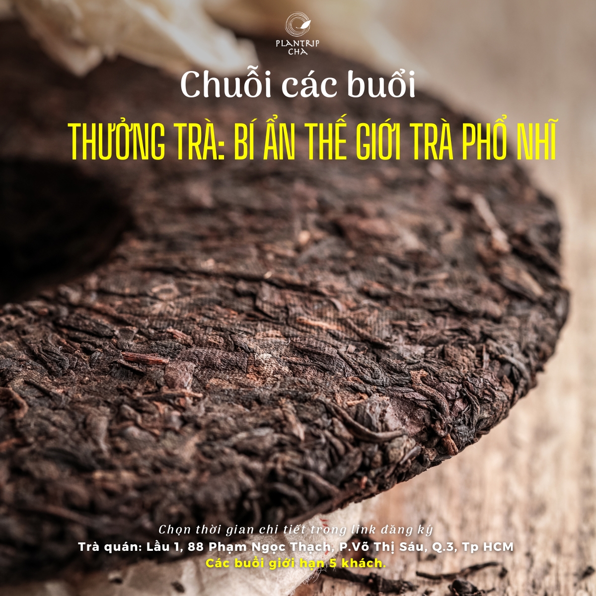CHUỖI CÁC BUỔI THƯỞNG TRÀ: KHÁM PHÁ BÍ ẨN THẾ GIỚI TRÀ PHỔ NHĨ 2023